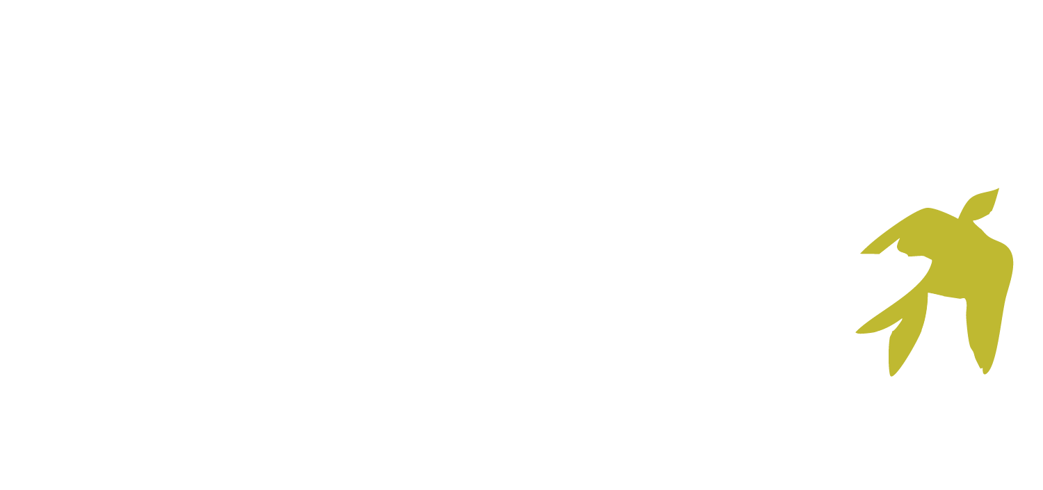 Frisk Brand
